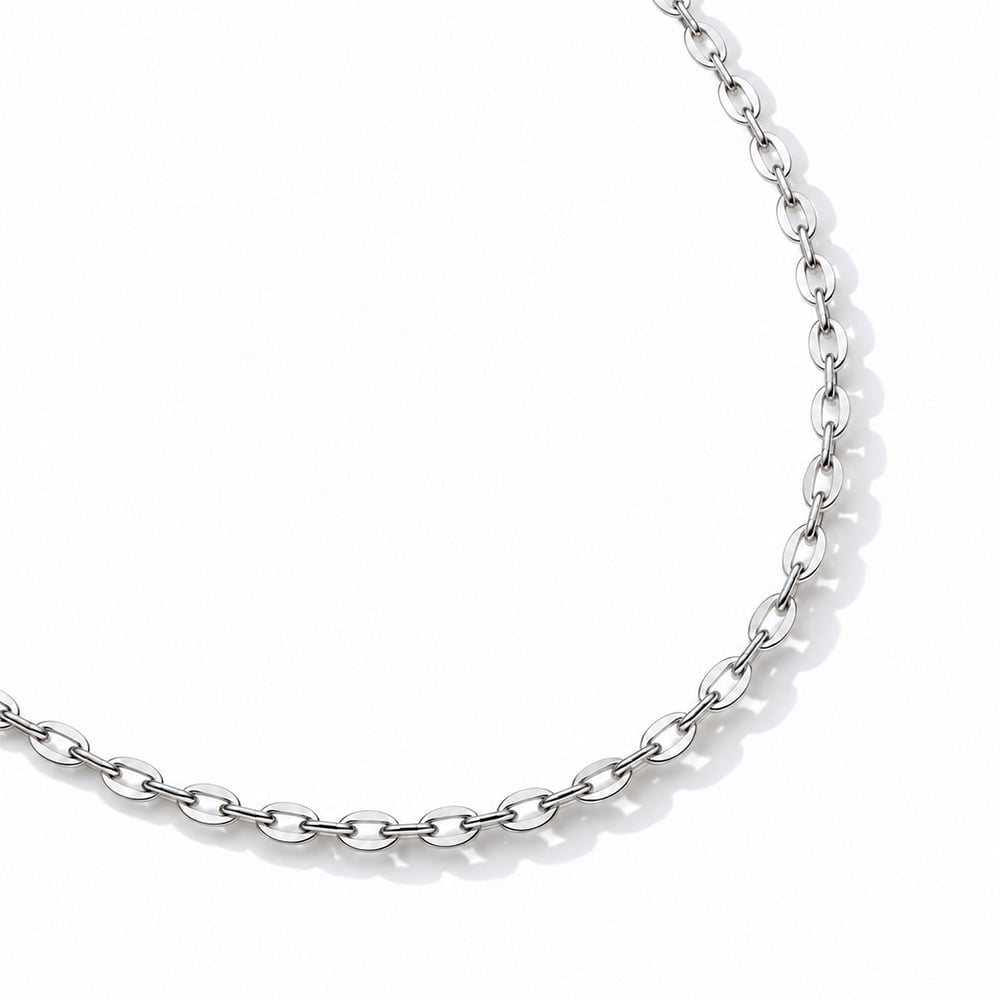 10K White Gold Round Link Chain in 10K Gold - SK Jewellery