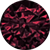 Ruby Red
