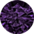 Deep Purple