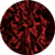 Garnet Red