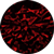 Red Ruby