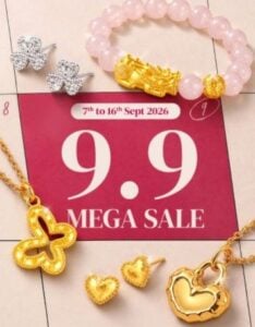9.9 Mega Sale